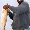 Nya Miller of Friendswood TX caught and tagged this nice 31 inch bull red on shrimp