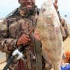 Prarie View TX angler Braxton Robinson took this nice keeper drum (his 3rd) while fishing shrimp