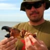 Rick Stanfield of Friendswood TX took this 7.5 inch claw off a stone crab he caught