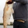 Ryan Lasley of Friendswood TX celebrated his B-Day by catching and tagging this HUGE 41 inch Bull Red he took on shrimp