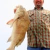 Sam Elder of Baytown TX caught and released this 32 inch bull drum he took on shrimp