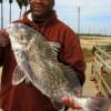 Terrance Haley of Houston took this nice 29 inch drum on shrimp