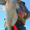Thomas Mathew Gonzales of Dallas took this keeper eater drum on shrimp