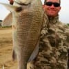 Tommy Guinn of Pasadena TX caught this nice keeper drum on live shrimp