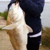 WooHoo for Christy Sullivan of Beaumont for her catch and release of this HUGE 35 inch, 25 lb drum she hooked on live shrimp
