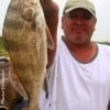 Juan Chavez of Pasadena TX nabbed this nice keeper drum on shrimp