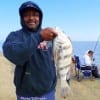 Mack Pushia of Humble TX nabbed this nice keeper drum he took on squid