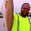 Mike Sanders of Houston took this 24inch slot red on shrimp