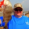 Missy Stevens of Cold Springs TX took this nice keeper drum on shrimp