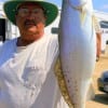 Port Bolivar angler Don Kernan fished a T-28 MirrOlure for this catch and released 27inch- 8.6lb gator-speck