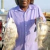 Roger Thomas of Houston caught these nice keeper drum on shrimp