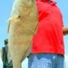 Russell Meadows of Houston caught this 28inch keeper drum on shad