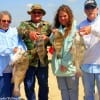 The Vandreese Fishing Group of Spring TX caught these nice drum on shrimp