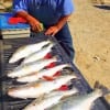 Crack-O-Dawn fishin with a MirrOlure put these 7 specks from 18 to 25inches in Beaumont angler George Bryans cooler