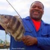 George James of Houston took this nice sheepshead on shrimp