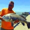 Greg Loeser of Mount Belvieu TX caught and released this 45inch- 40lb Bull Drum he caught on shrimp