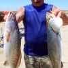 Humble TX angler Eli Peralta fished live shad to catch these 23 and 23.5 inch specks