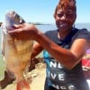 Linda Johnson of Houston tangled with this sheepshead and WON