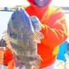 Lisa Fobbs of Silsbee TX took this nice sheepshead while fishing live shrimp