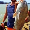 Rowdy Head of Anahauc TX caught and released this HUGE 36inch Bull Drum he took on a fishbites soft plastic