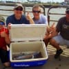 The Hancirs of Franklin TX boxed up this nice mess of Gafftop while fishing shrimp