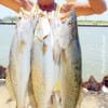 Henri Fontenot of Rollover fished soft plastics near the bridge for this impressive stringer of specks topped with a 24 incher