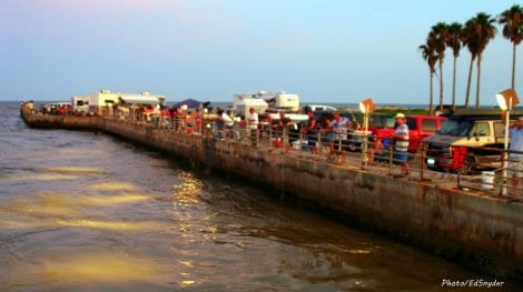 Popular night-fishing draws plenty of action