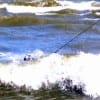 RUFF SURF
