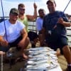 The Woychesin Fishing Krewe of Groveton TX took these early morning trout on 808s and T-28s