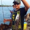 Chris Walker of League City TX fished a twister tail to nab this really nice Atlantic Whiting