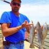 Ennis TX angler Johnny Laznovsky took these nice specks on live shad