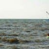 Anglers catching early morning trout while Shrimpers catch the early morning shrimp