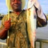 BIG trout