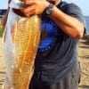 Danny C. Pringle SR of Humble TX landed this HUGE 37inch Bull Red while fishing live shrimp