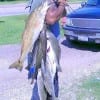 Eric Morrison of Houston managed to wrangle up this nice mess of trout and reds while wade fishing the surf with a T-28 MirrOlure