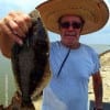 Finger mullet and lots of patience put this flounder on the table for Shelby Camp of Thicket TX