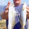 Jason Crisp of Beaumont TX boxed up some good sand trout for supper