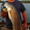 Michael Eccleston of Liberty landed this nice 26inch slot red while fishing a finger mullet