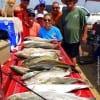 The Rollover Lip-Ripper Fishing Krewe night-fished to tailgate this nice mess-o-trout and reds