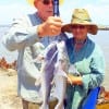 The Walraths of Goodrich TX took these two nice gafftop while fishing shad