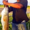 Allen Johnson of Houston tagged this 30inch Bull Red he took on shrimp