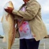 Dakota Neely of Houston sayz POSSESSION IS 9-10ths of the law- for this 36inch tagger bull red caught on squid