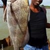 Darrell Johnson of Nawlenes LA took this nice keeper eater drum on shrimp