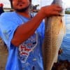 Dirty Red Sparks of Lake Charles LA took this nice slot red while fishing shrimp