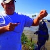 Elvin Smith of Koontze TX nabbed this nice drum on cut bait