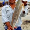 Houston Chronicle angler Robert Aquirrie of Houston took this nice slot red on a finger mullet