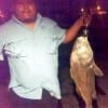 Jose Cruz Caught and released this 34inch bull drum he took on shrimp