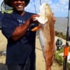 Kent Herring of Houston took this 36inch tagger bull red on finger mullet