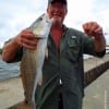 Lex Glaze of Tyler TX wrangled up this nice 25inch slot red while fishing a finger mullet