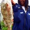 Michelle Finley of Spring TX took this nice drum on shrimp